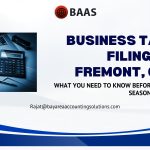 Business Tax Filing in Fremont