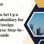 Set Up a U.S. Subsidiary