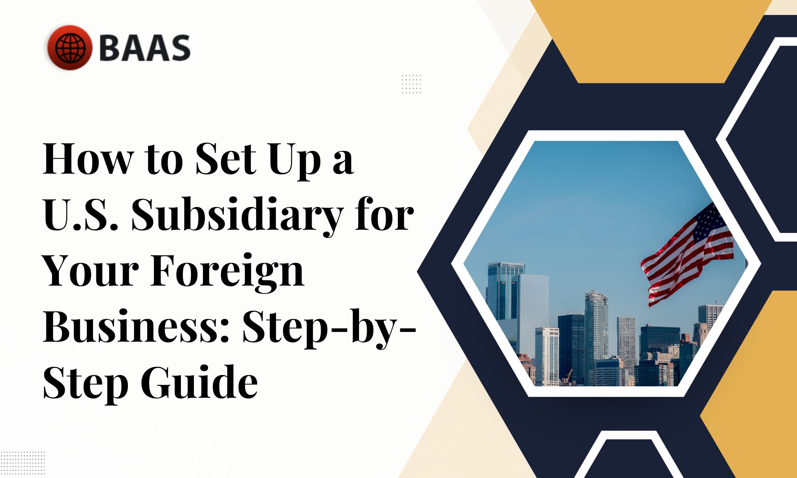 Set Up a U.S. Subsidiary