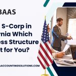 California LLCs and S-Corps
